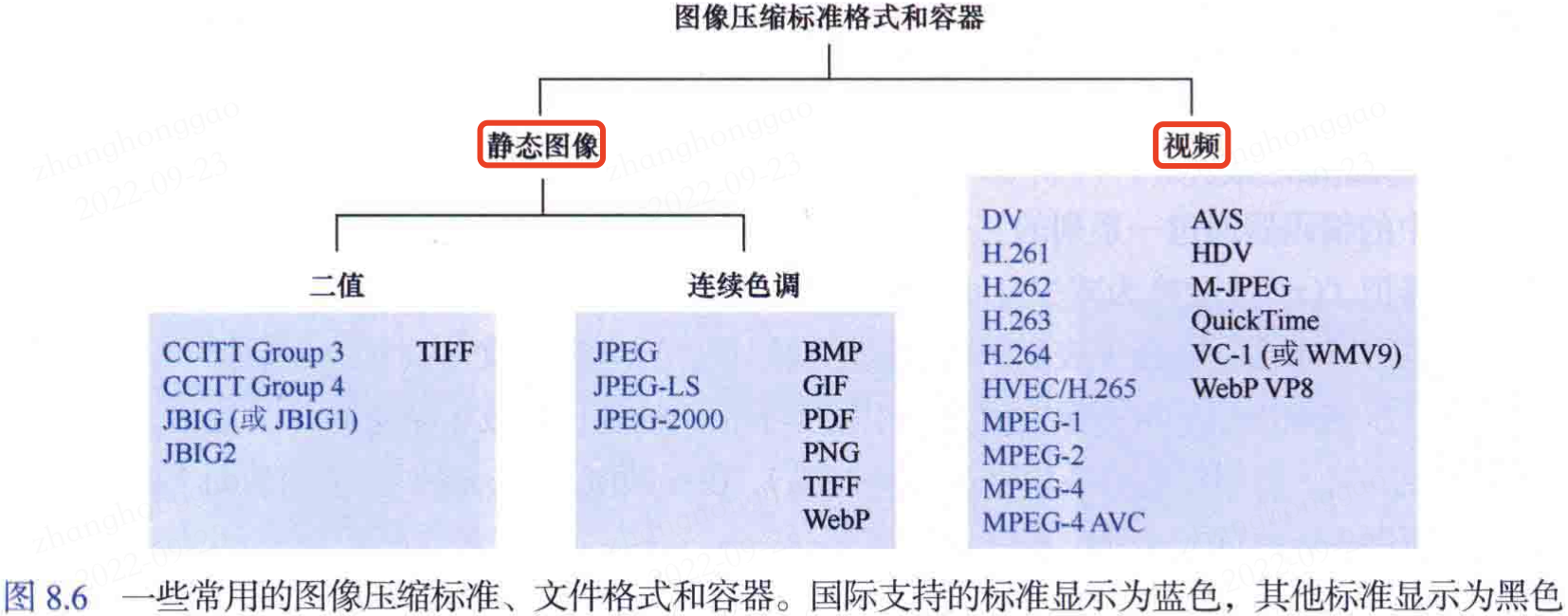 图像压缩格式和容器