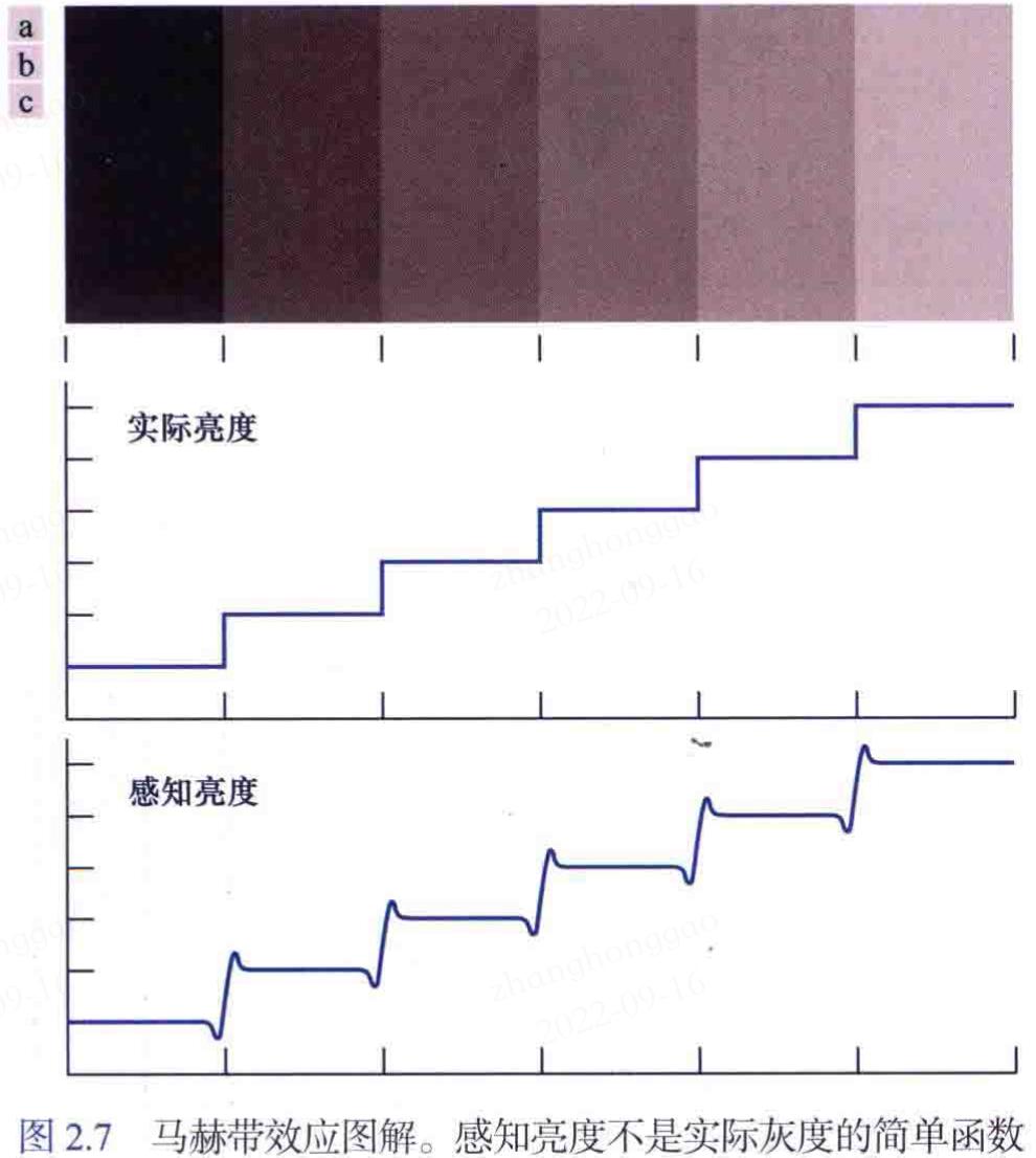 马赫带效应图解